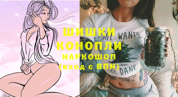 mix Новодвинск