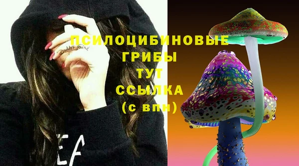 метадон Няндома