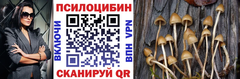 kraken ссылки  Туймазы  Галлюциногенные грибы GOLDEN TEACHER  где найти  